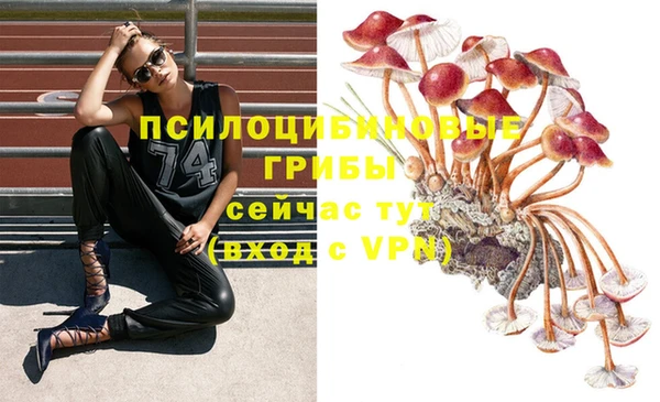 первитин Приозерск